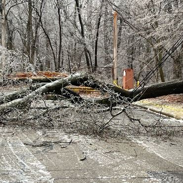 Tree pulling power lines down across a street, with everything glazed in ice.