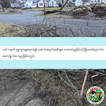 Tree limbs and branches along curbs of city streets, with Burmese text over the image