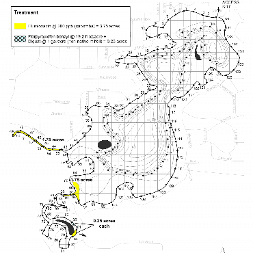 A map showing the treatment area on Goguac Lake for Tuesday, July 16, as yellow and light-blue.
