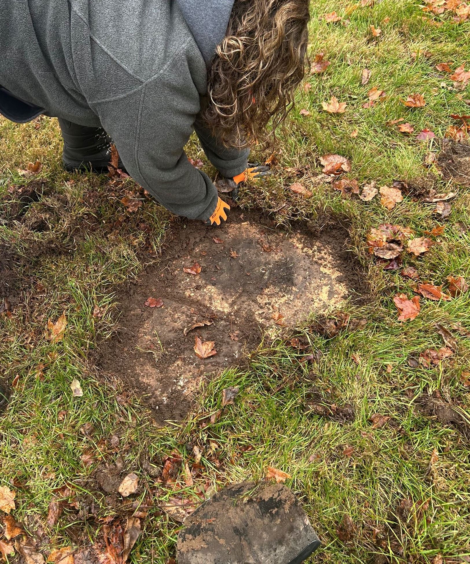 Photo of clerk staff finding a buried headstone - Beckley Cemetery