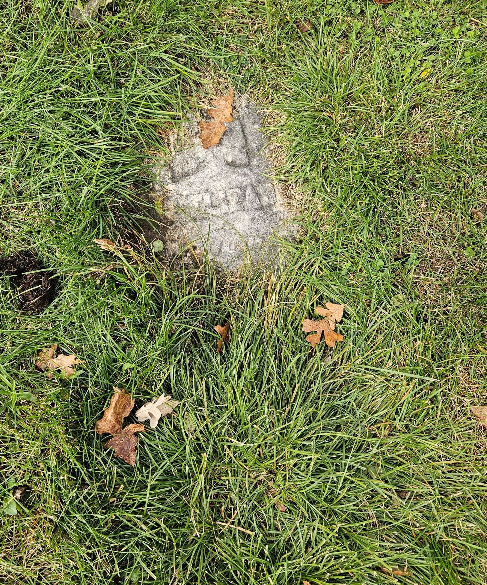 Photo of headstone buried under sod - Youngs Cemetery