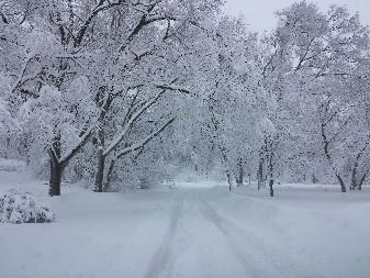 Helen Montgomery March 2014